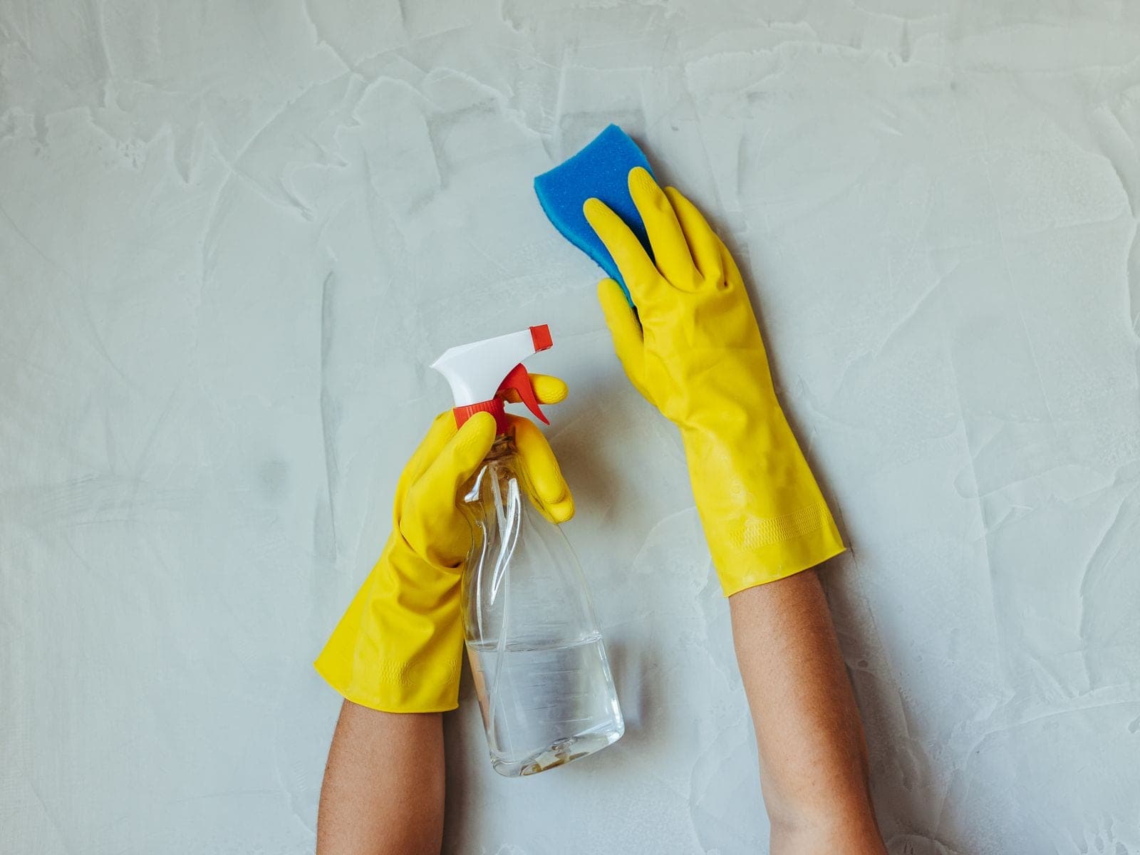 Moisissures : traiter la surface ne suffit pas — ACLEANEO