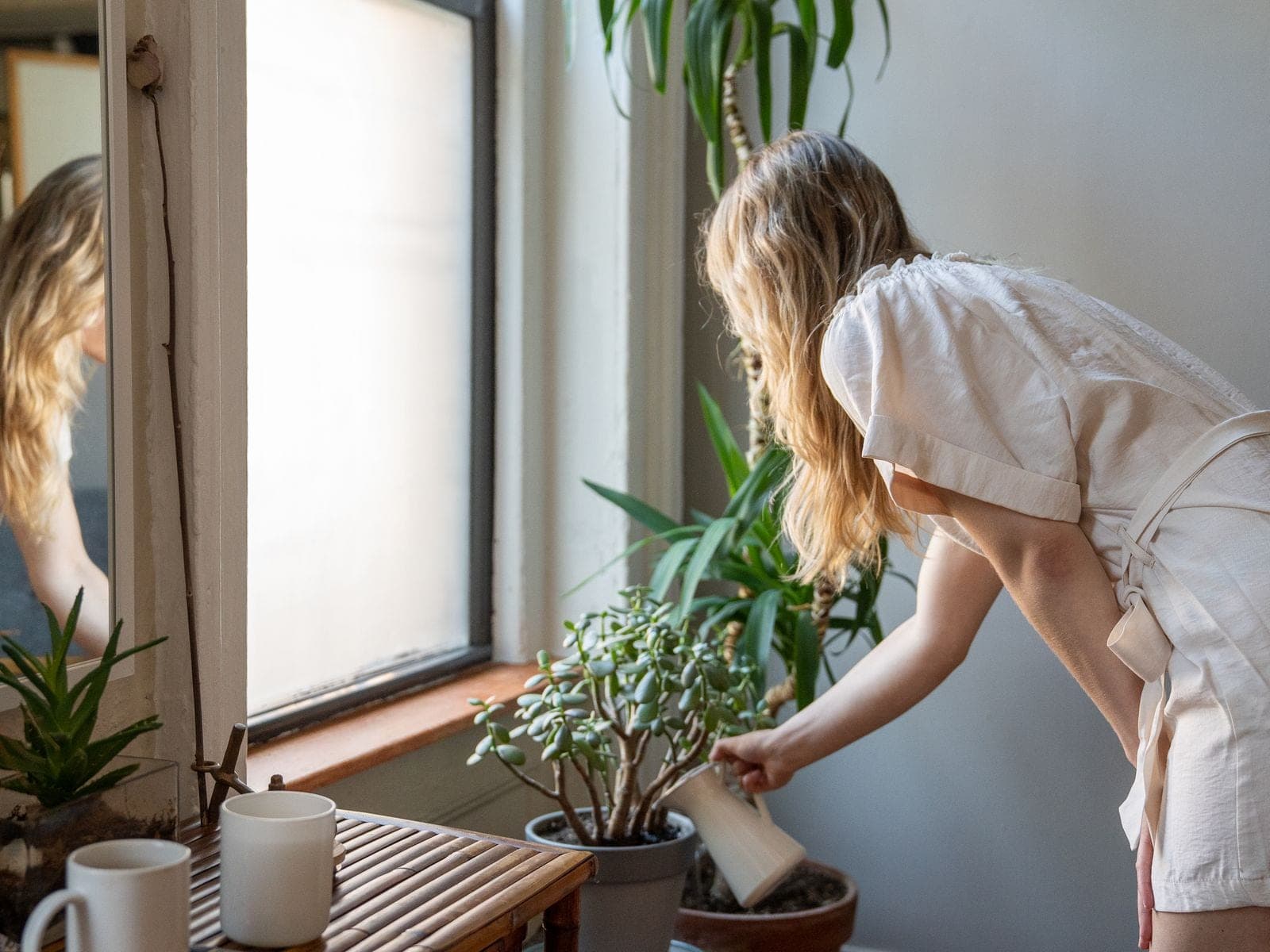 Des passages pendant votre absence, pas une garde — ACLEANEO